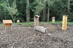 Sentier découverte de l’abeille mellifère